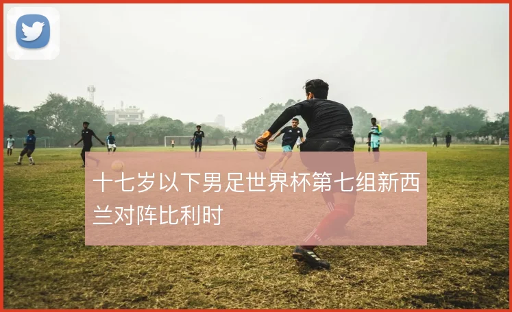 十七岁以下男足世界杯第七组新西兰对阵比利时
